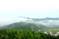 “抹茶全產(chǎn)業(yè)鏈關(guān)鍵技術(shù)與裝備創(chuàng)新及應(yīng)用”項(xiàng)目科技成果評價(jià)會召開